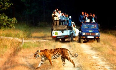 Corbett Special Tour